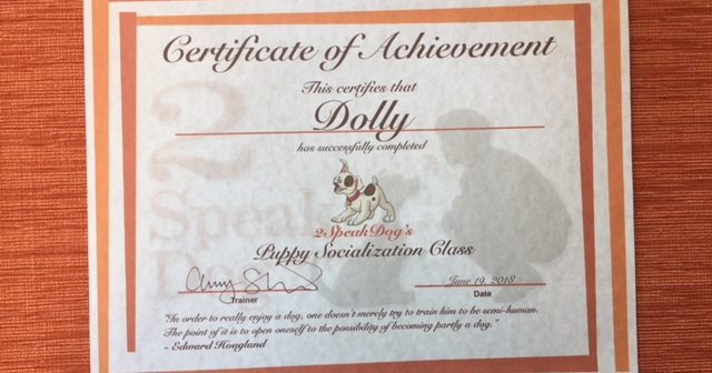 Dolly's diploma