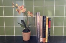 Anita Brookner novels and orchid